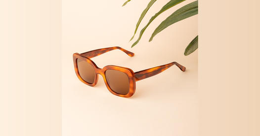 Fall '22 Sunglasses Collection