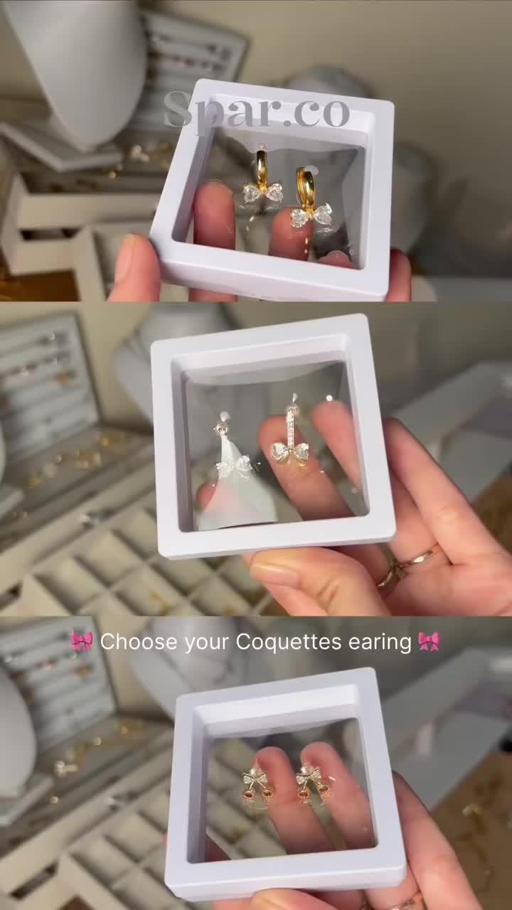 Titanium Earrings Jewelry Promo