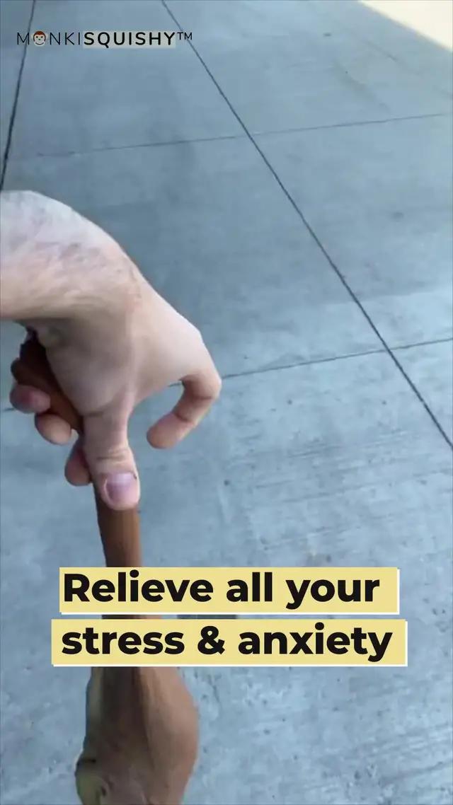 MonkiSquishy Viral Stress Relief Promo