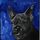 Little Dog Art Studios