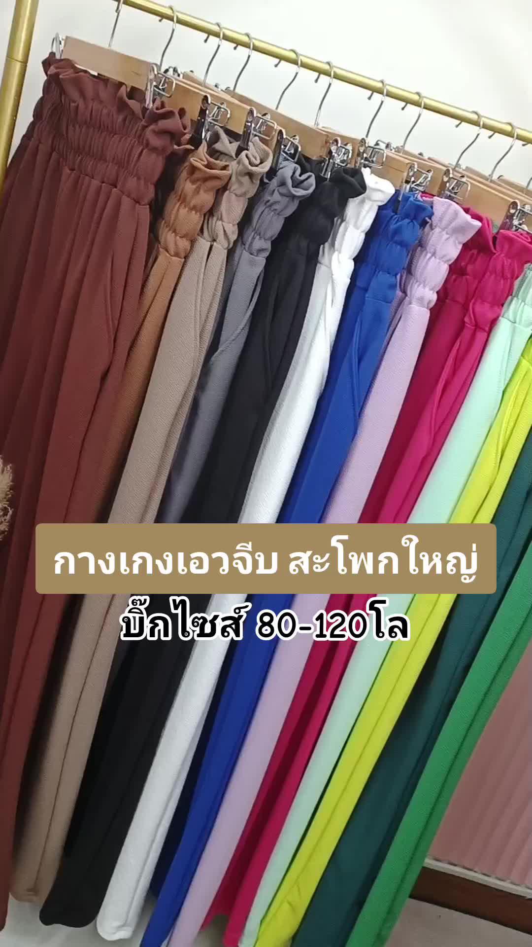 Plus Size Pleated Pants Promo
