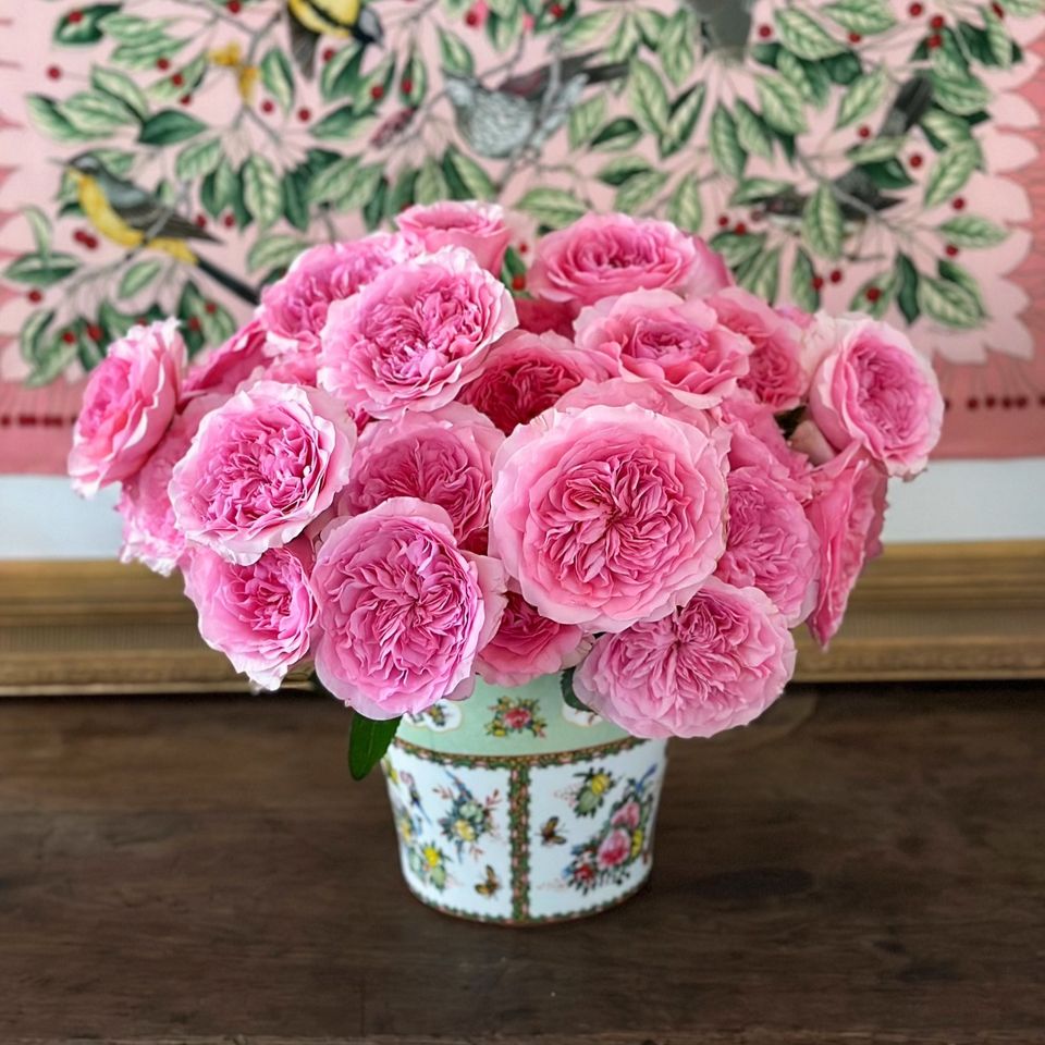Beautiful Roses Gift Promo