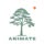 Animate Clothing Tshirts