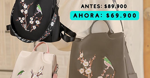 Stylish Backpack Discount Offer