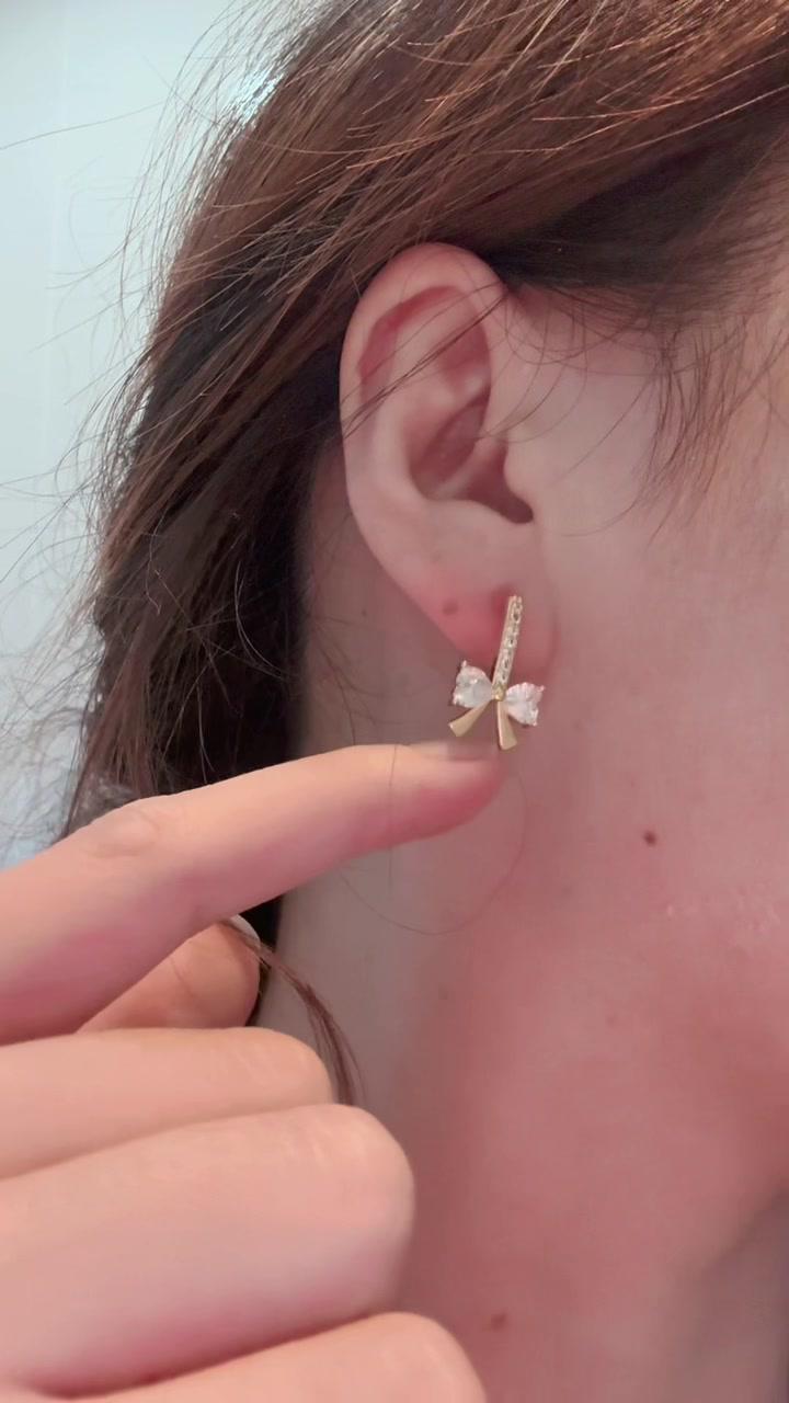 Titanium Earrings Jewelry Promo
