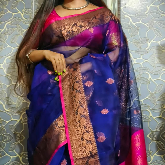 Festive Handloom Saree Promotion
