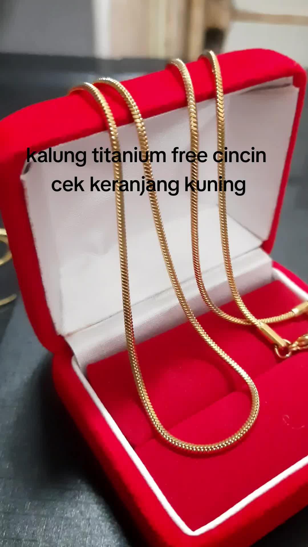 Titanium Necklace Promo with Free Ring