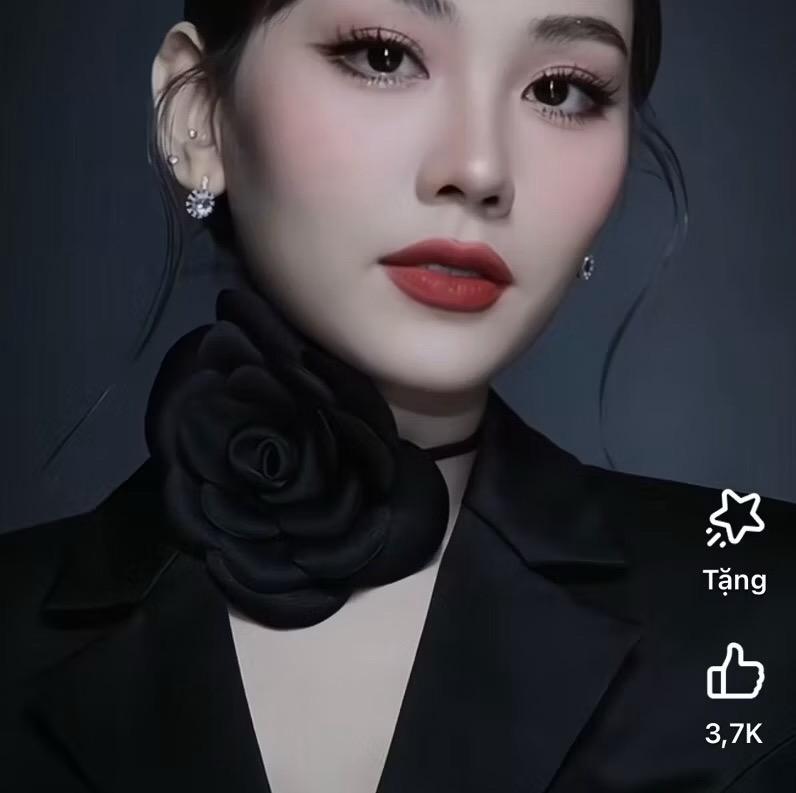 Bông Cao Cấp