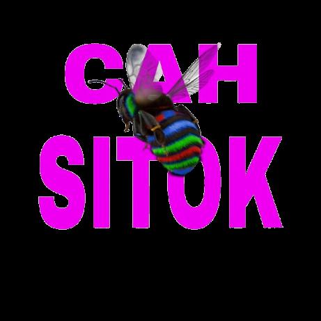 cahsitok