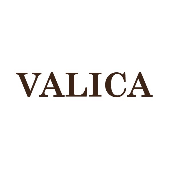 Valica Store