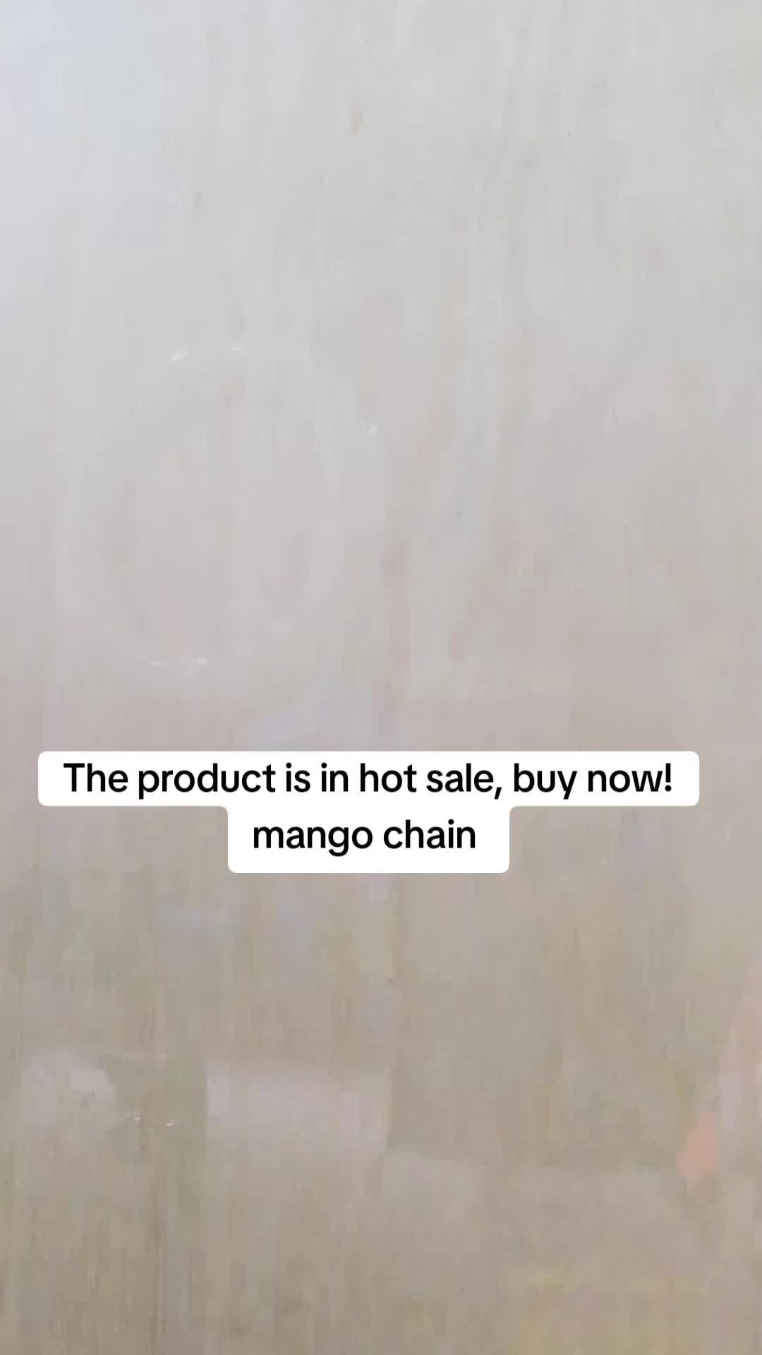 Mango Chain Jewelry Promo