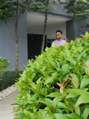 Kurta Madina Fashion Promo
