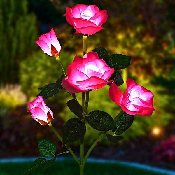Solar Rose Lights Summer Promo