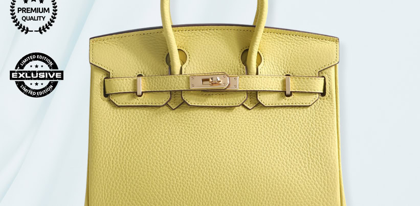 Isabelle Luxe Handbag Exclusive Offer