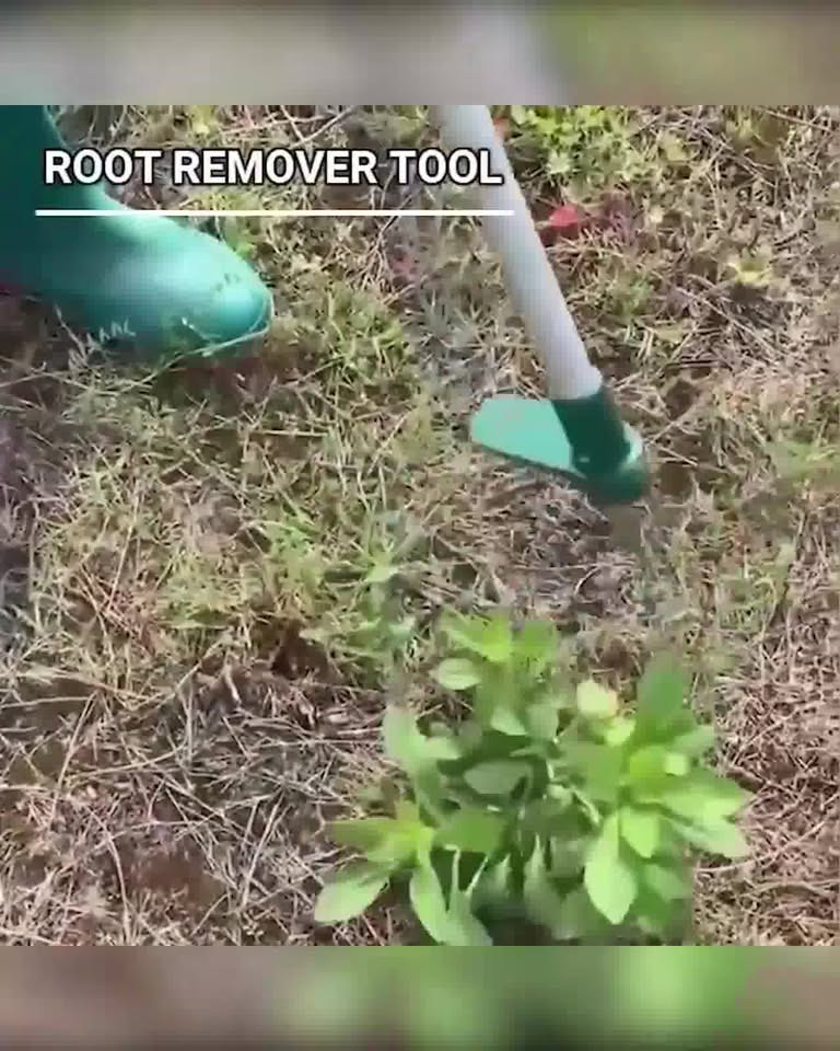 Root Remover Tool Promo