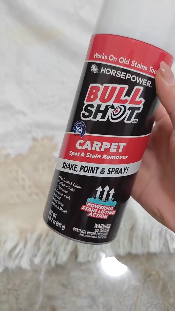 Carpet Spot & Stain Remover Promo