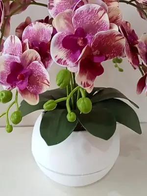 Floral Arrangement Promo
