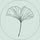 Creative Bloom