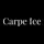 Carpe Ice