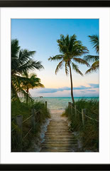 Framed Art Prints for Collectors