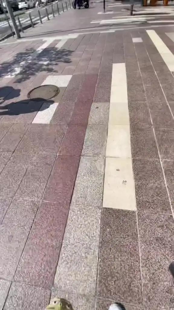 MonkiSquishy Viral Promo
