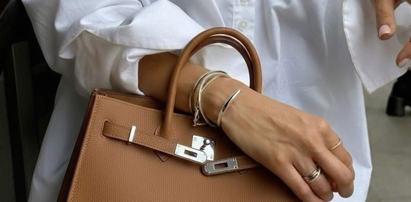 Evina Meridian Tote Fall Fashion