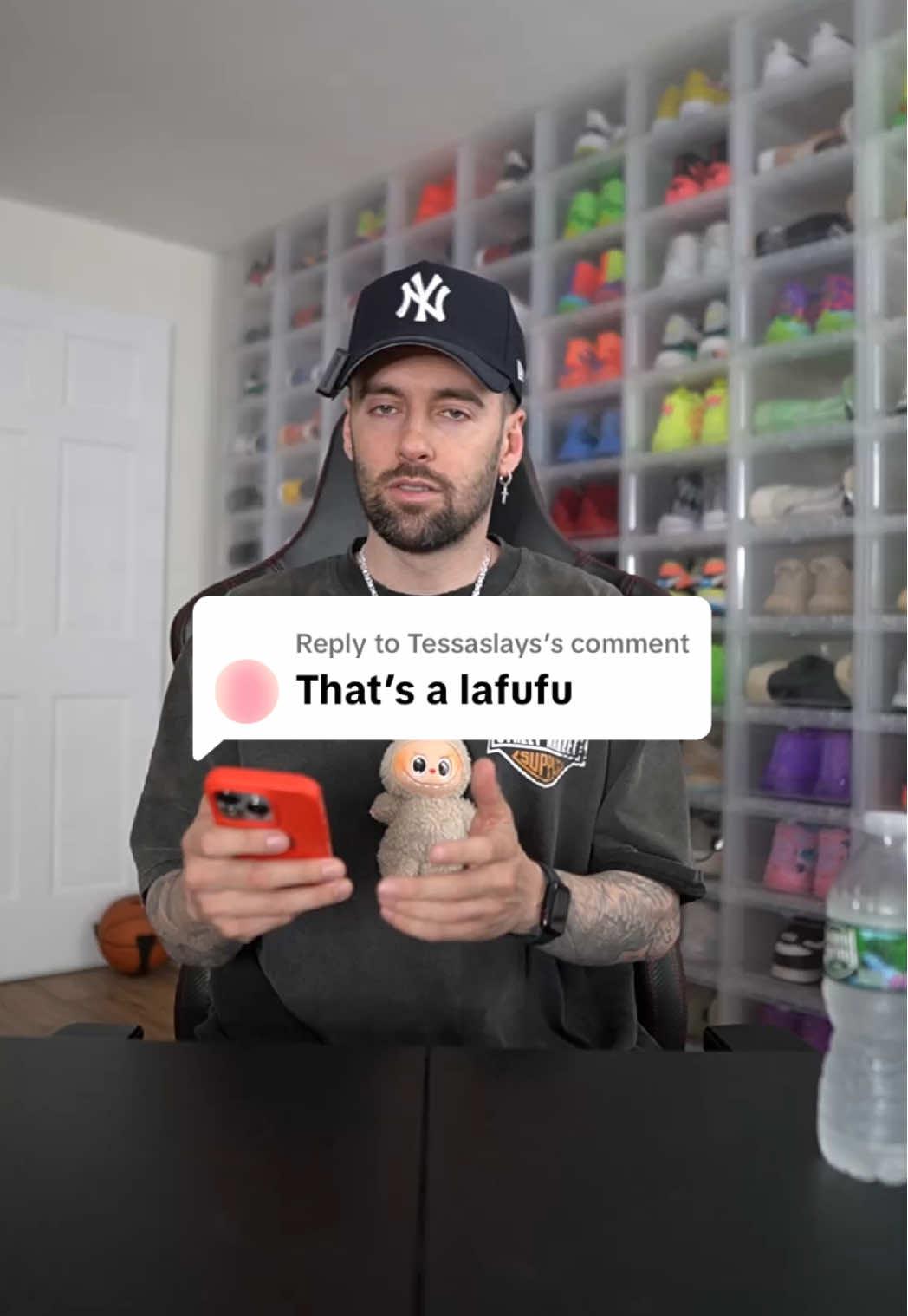 Labubu Toy Promo