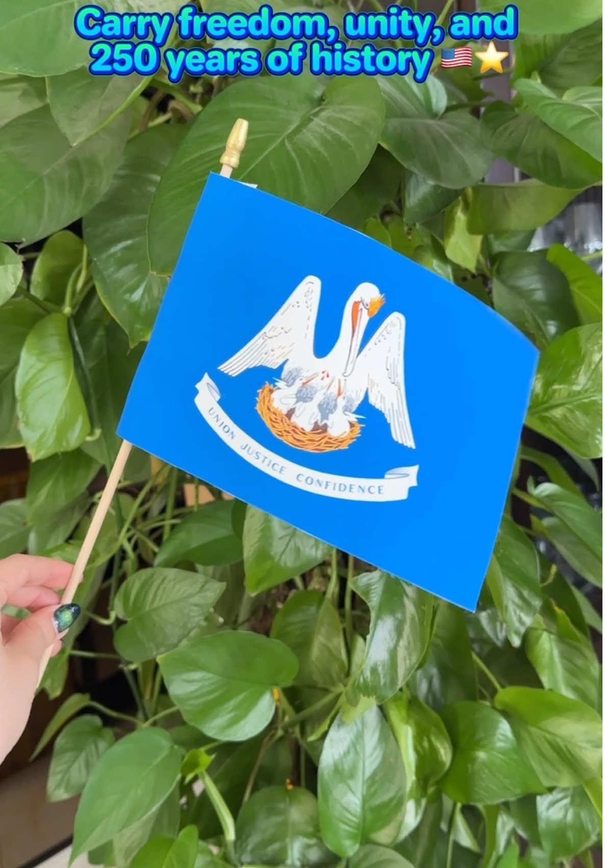 250th Anniversary Hand Flag Promo