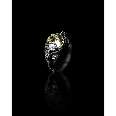 Elegant Jewelry Ring Promo