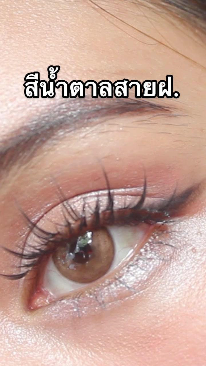Brown Contact Lenses Promotion