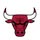 Chicago Bulls