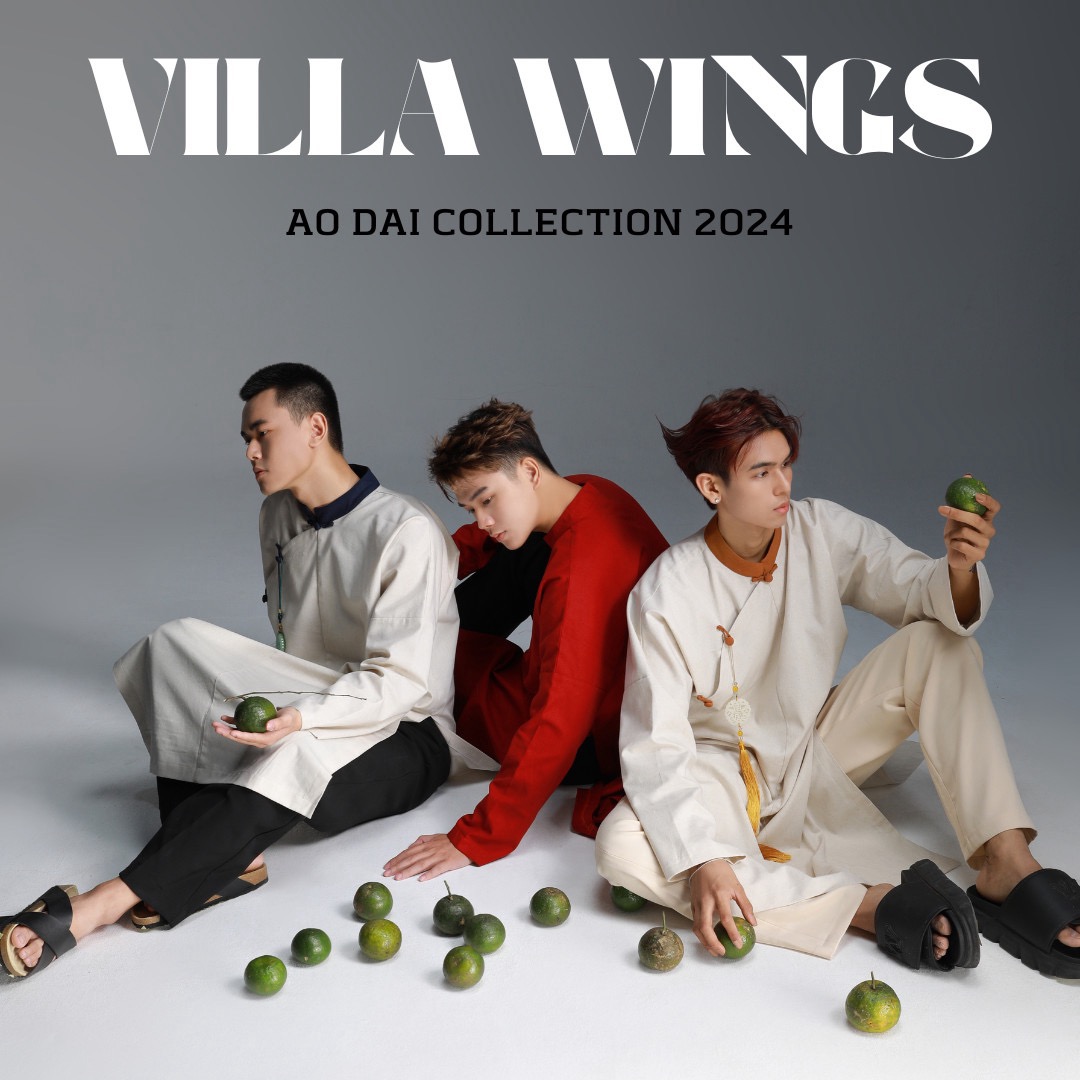 Villa wings
