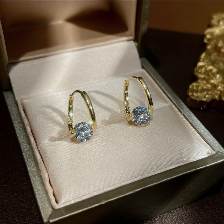 Lymphvity Earrings Promotion
